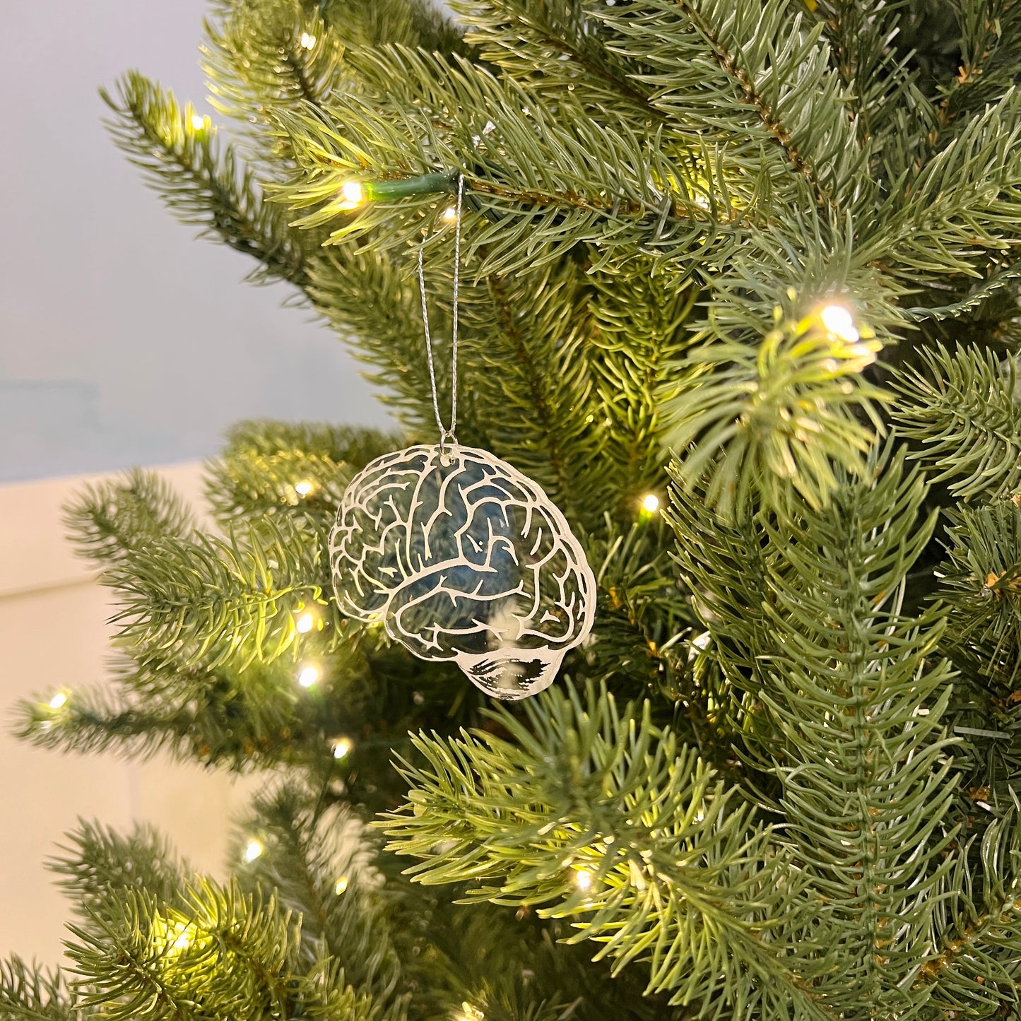 Clear or Frosted Acrylic Brain Ornament