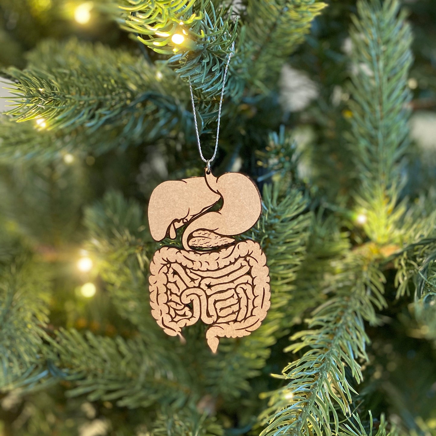 Wood Digestive System Ornament
