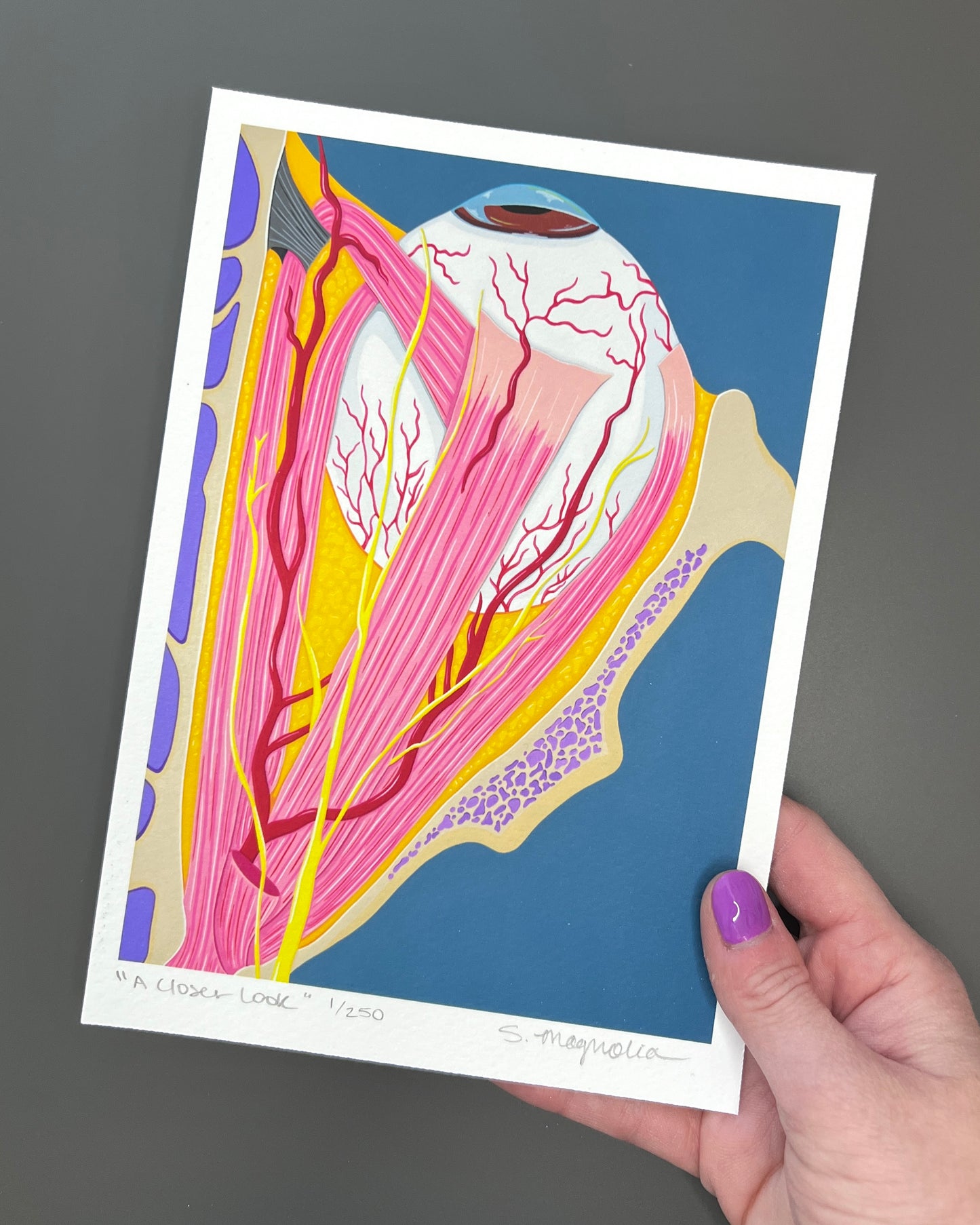 "A Closer Look" Print