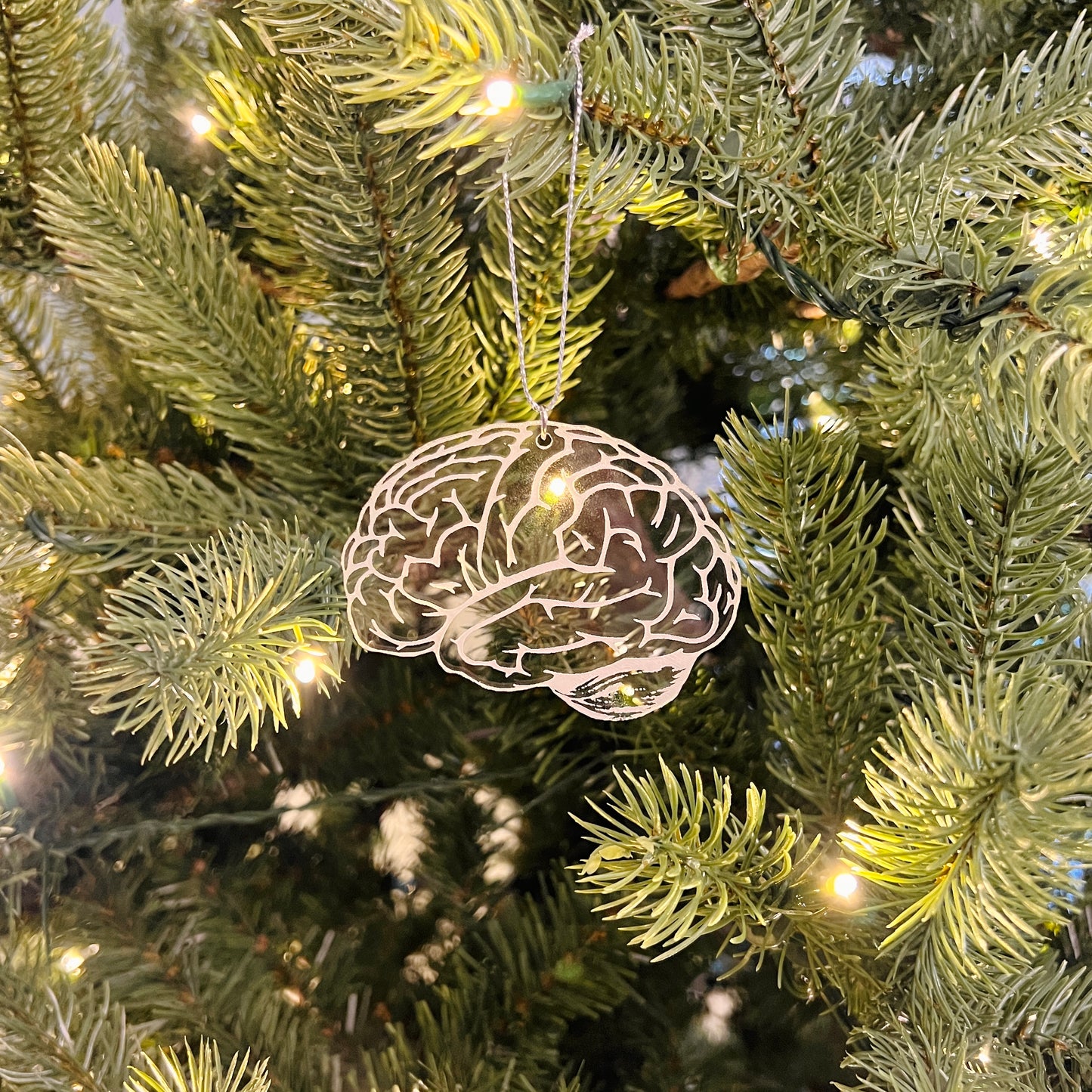 Clear or Frosted Acrylic Brain Ornament