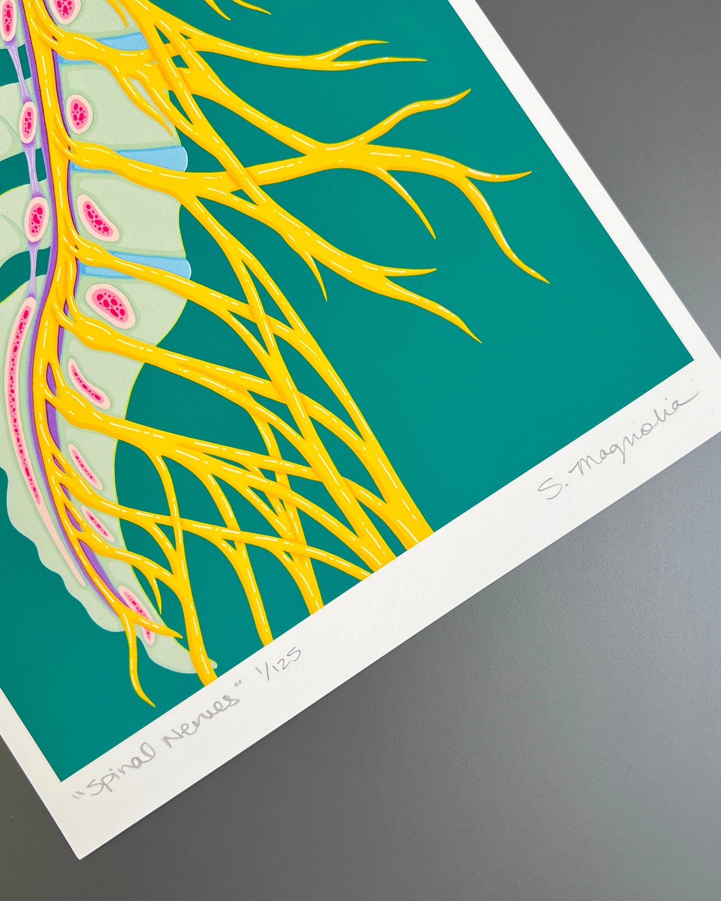 “Spinal Nerves" Print