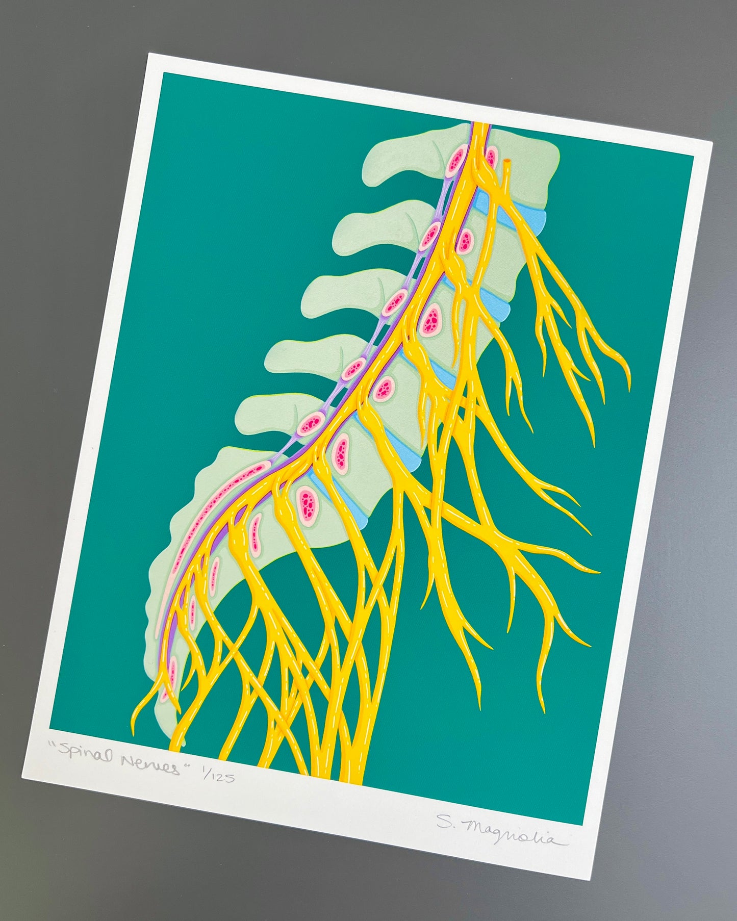 “Spinal Nerves" Print