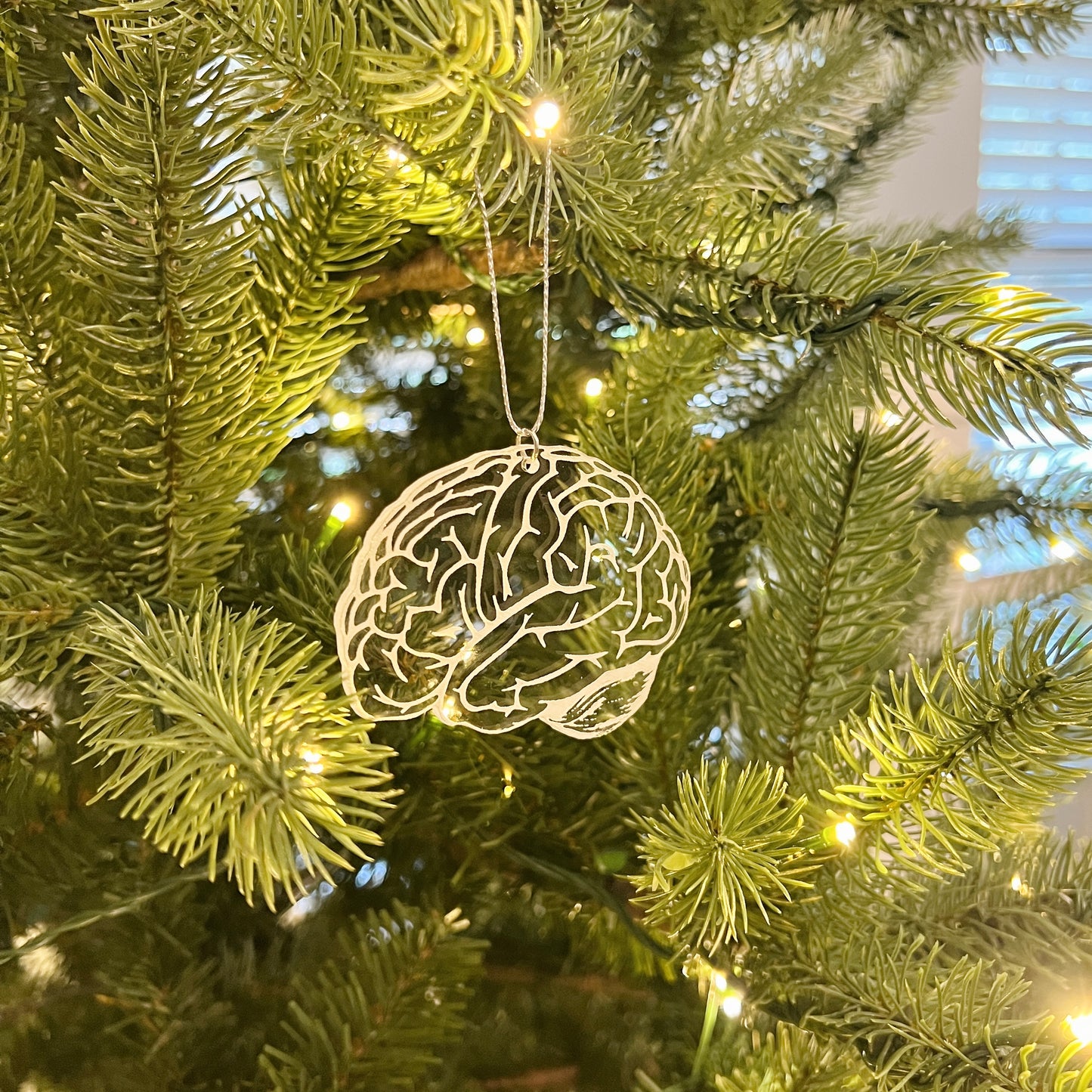 Clear or Frosted Acrylic Brain Ornament