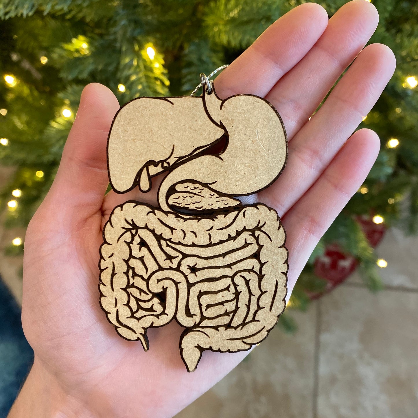 Wood Digestive System Ornament