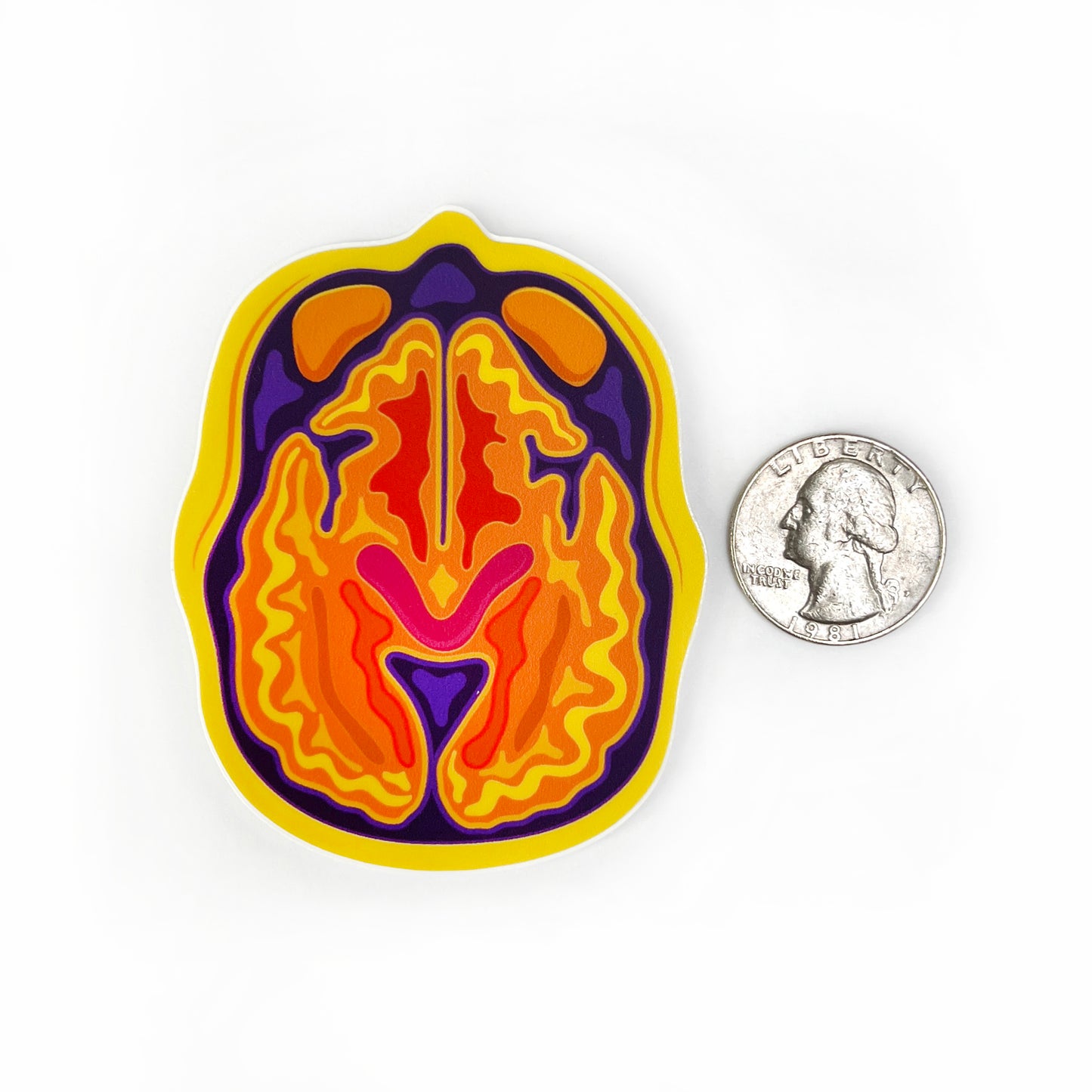 "Axial Slices" Brain MRI/CT Sticker