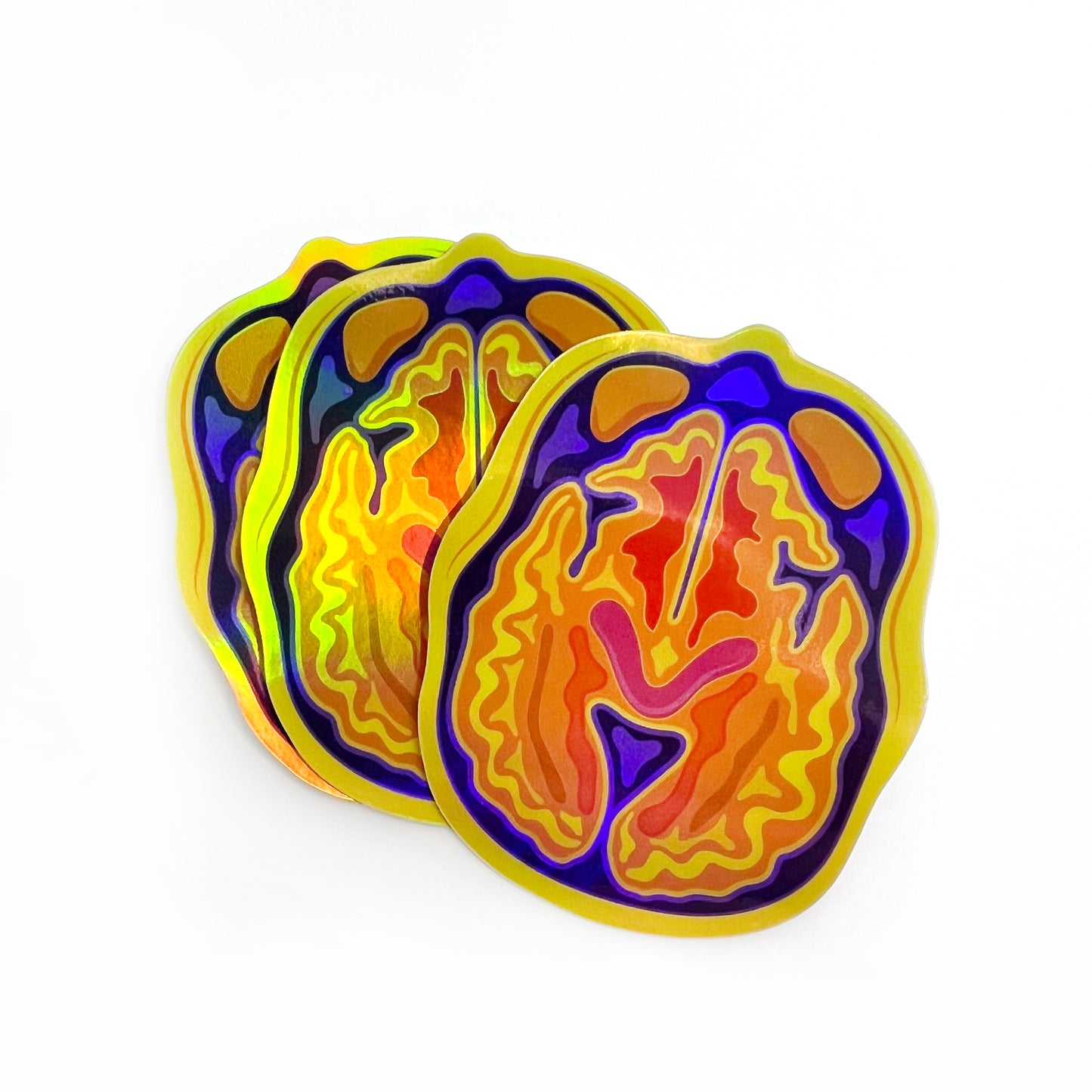 Holographic Brain MRI/CT Sticker