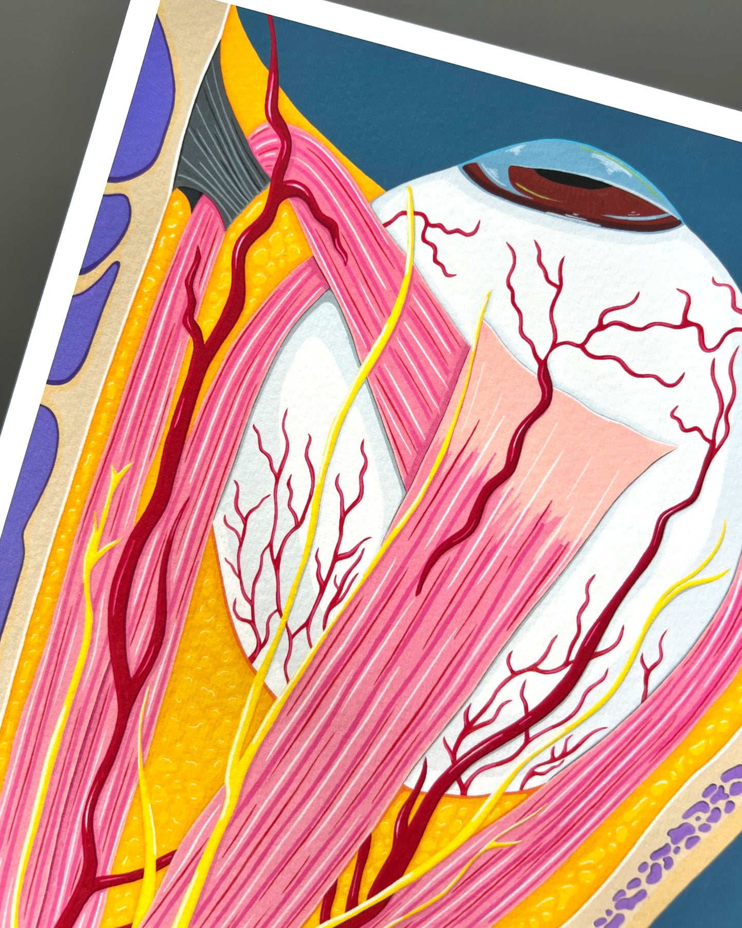 "A Closer Look" Print
