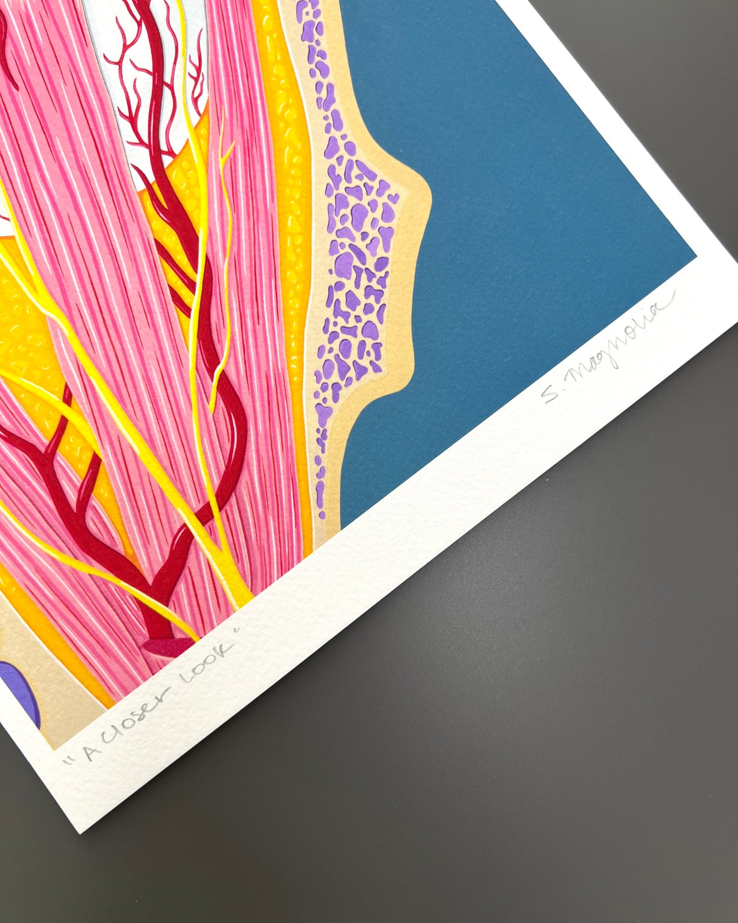 "A Closer Look" Print