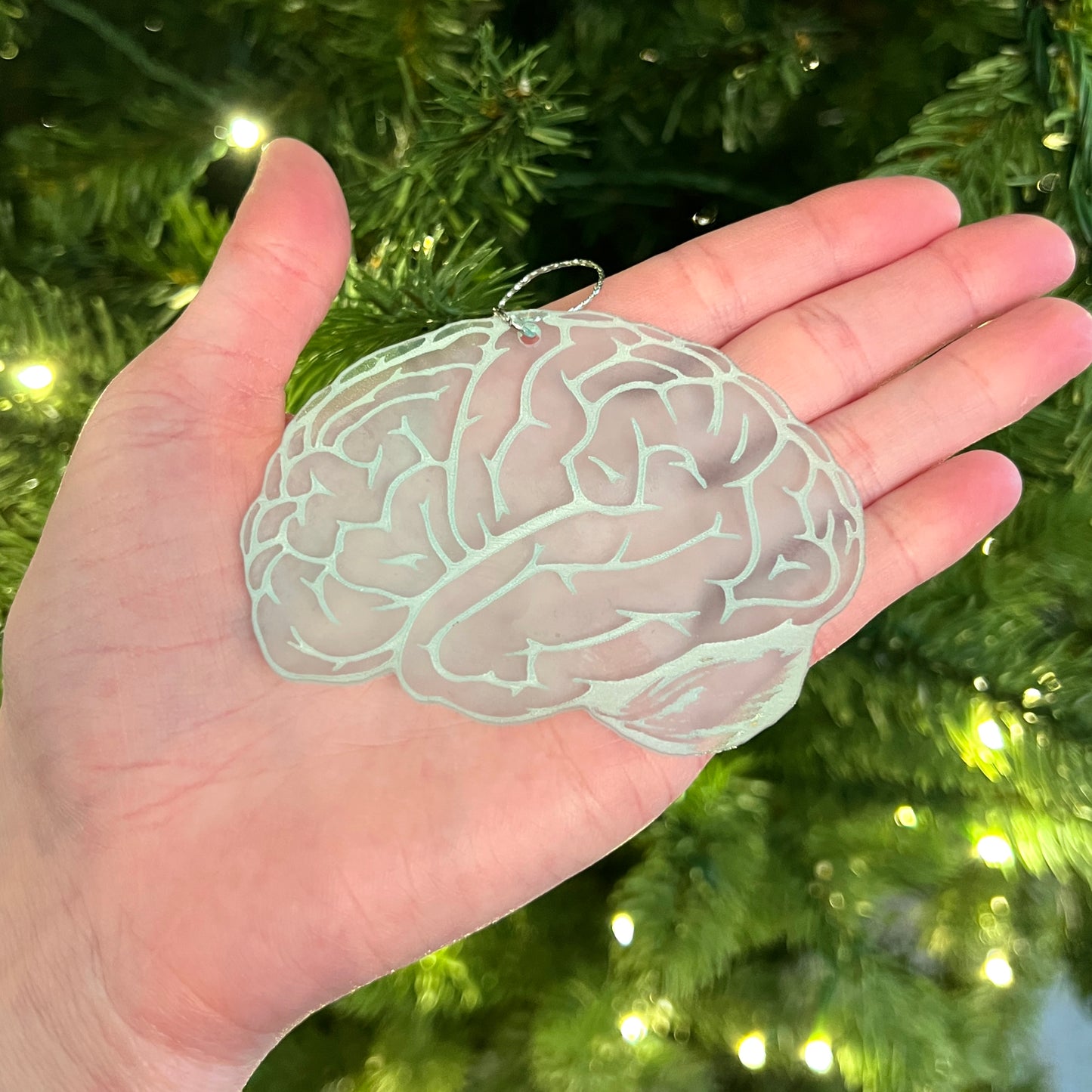 Clear or Frosted Acrylic Brain Ornament