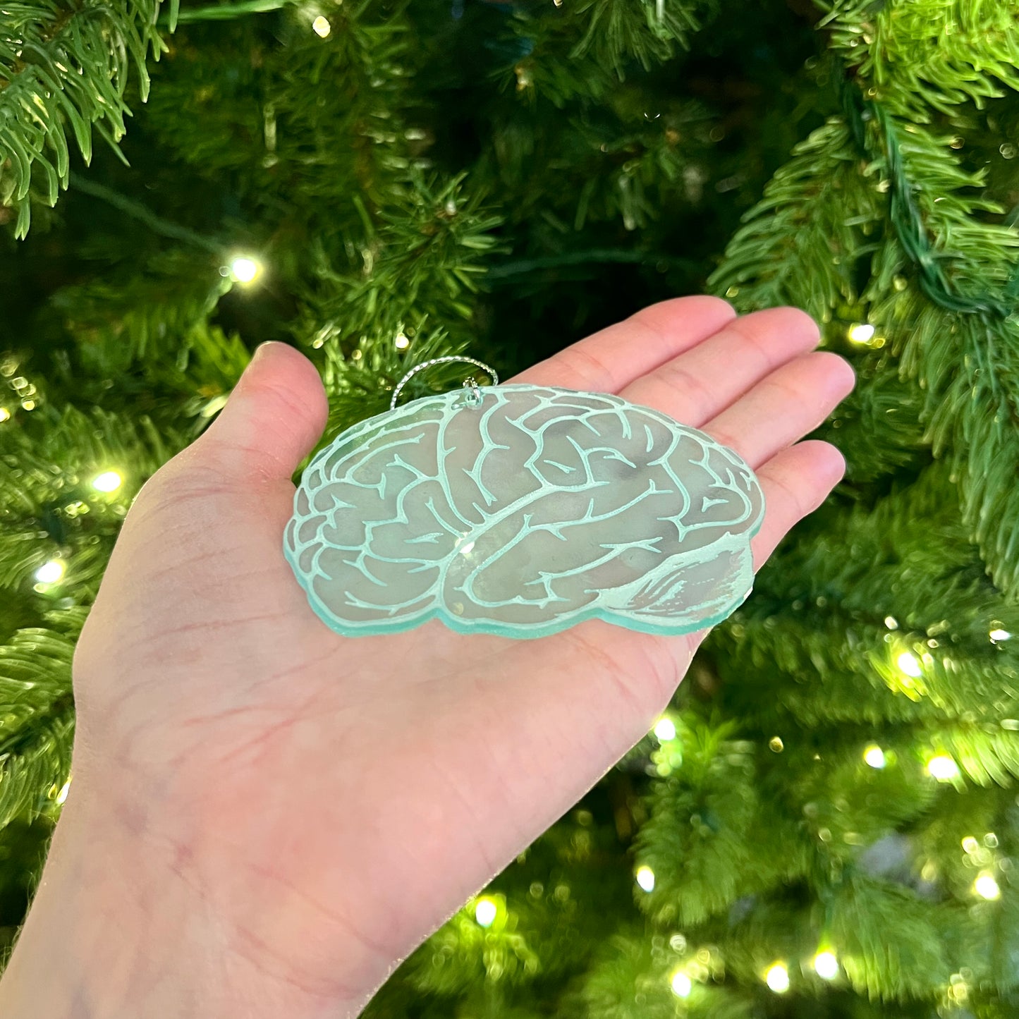 Clear or Frosted Acrylic Brain Ornament