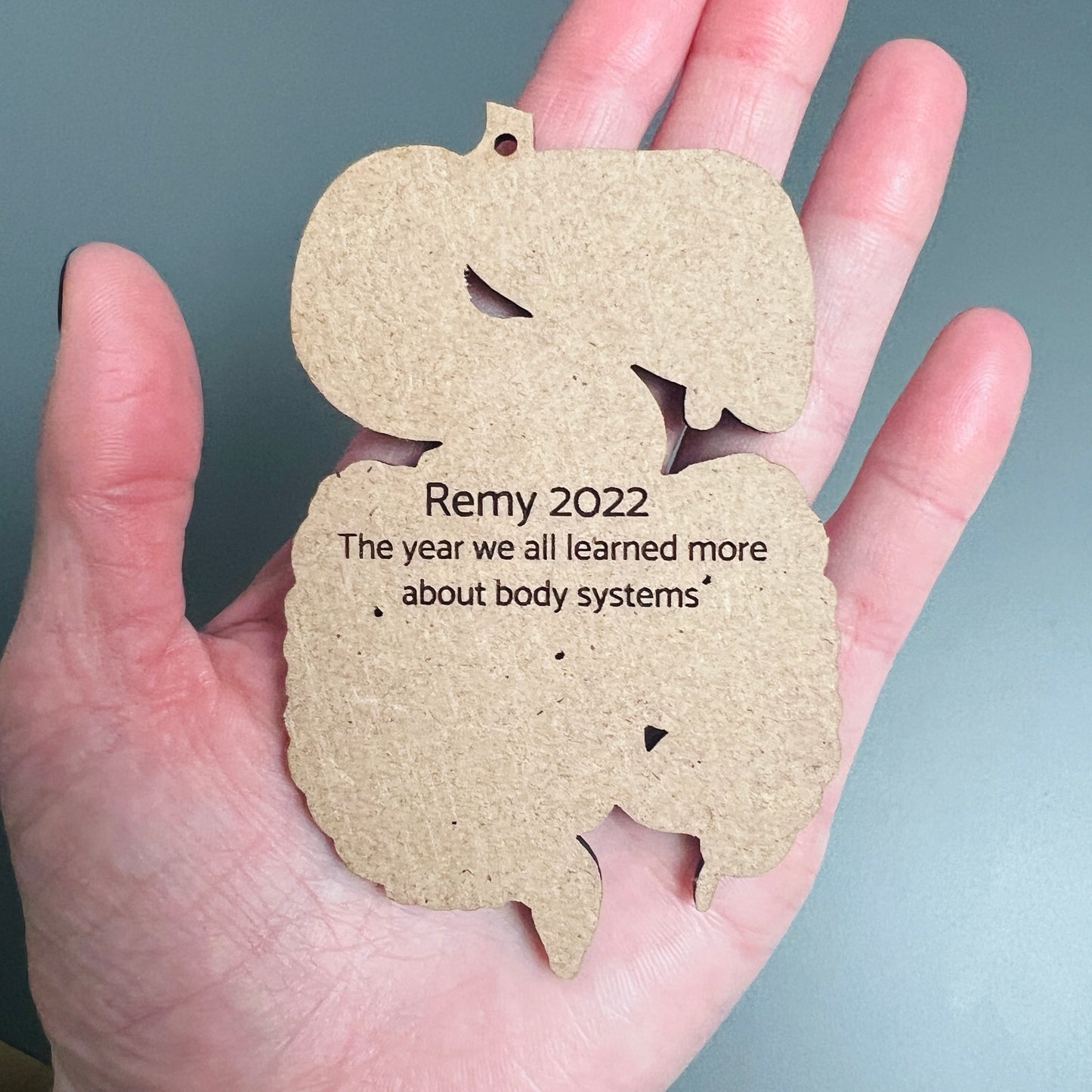 Wood Digestive System Ornament
