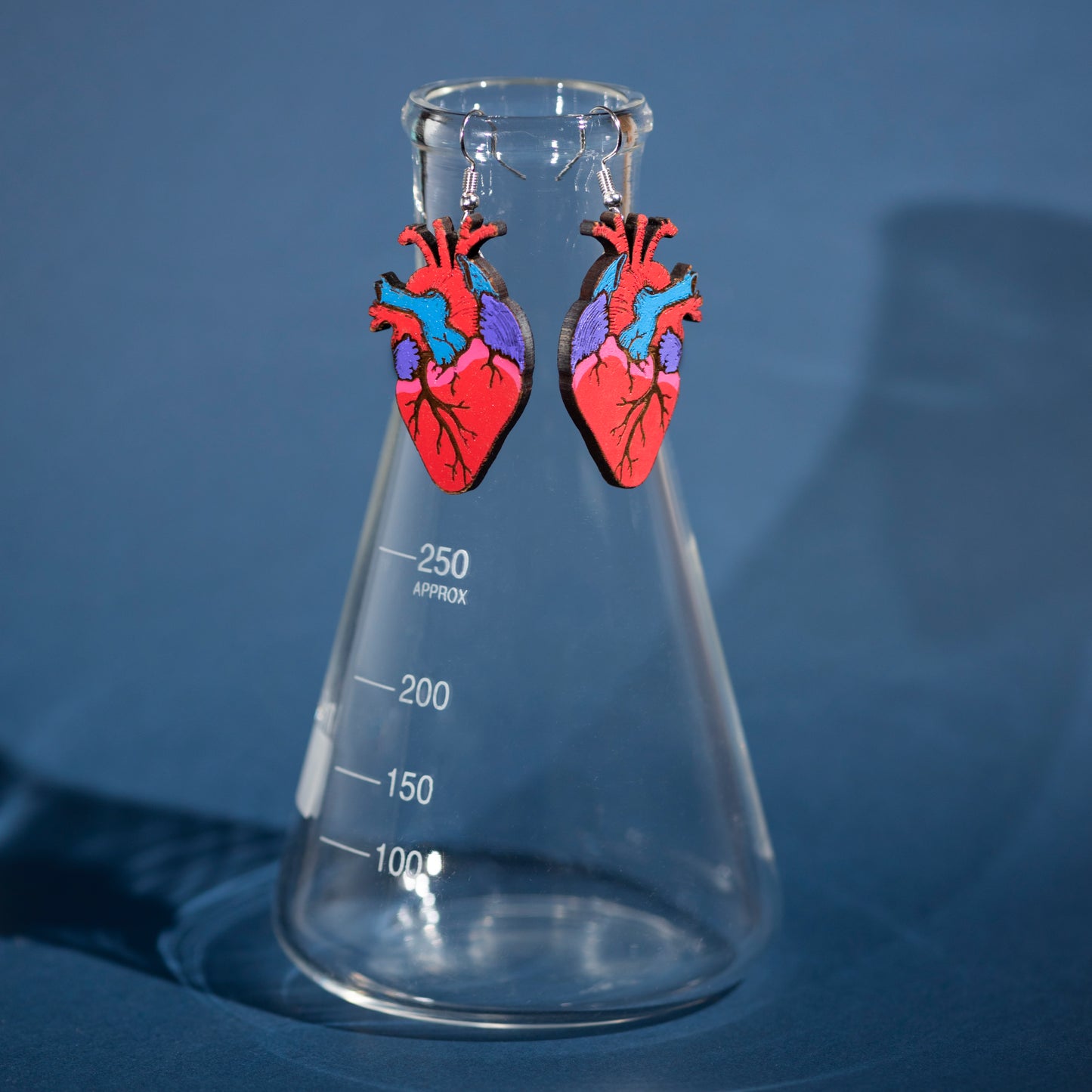 Painted Anatomical Heart Earrings