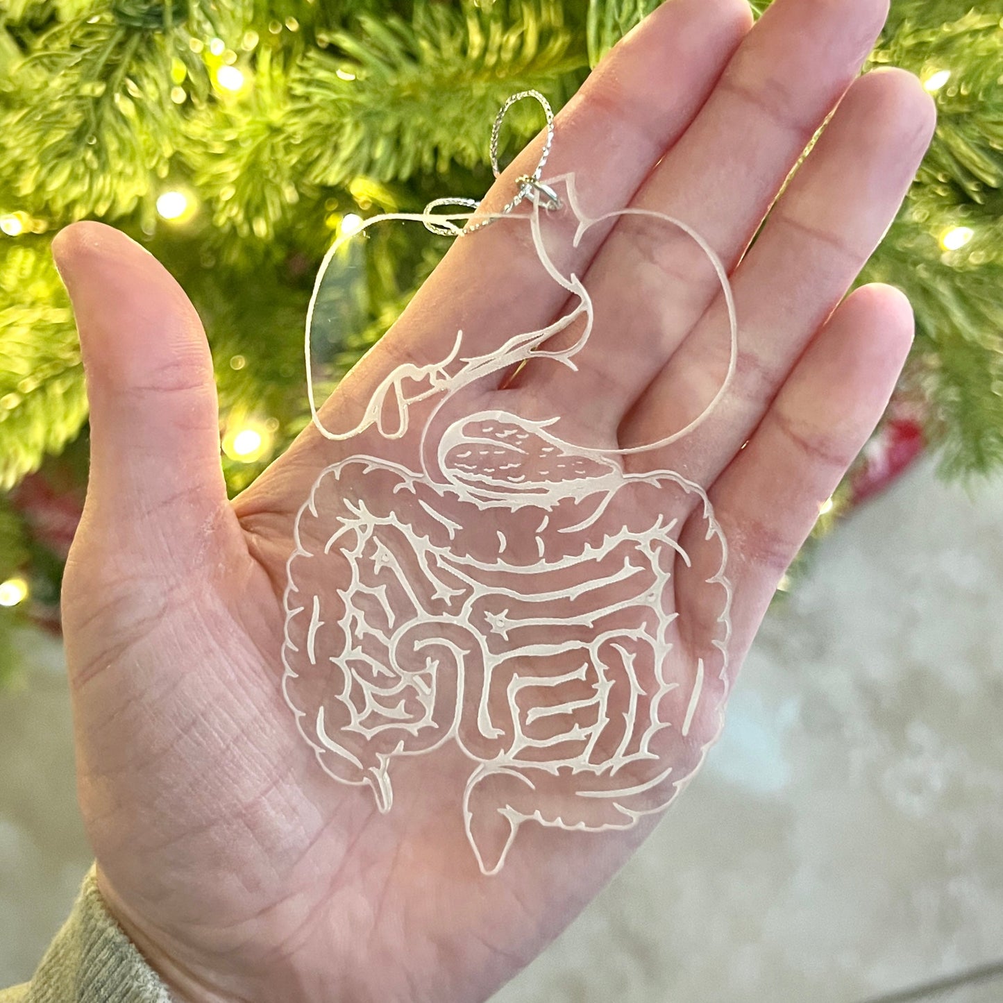 Clear or Frosted Acrylic Digestive System Ornament