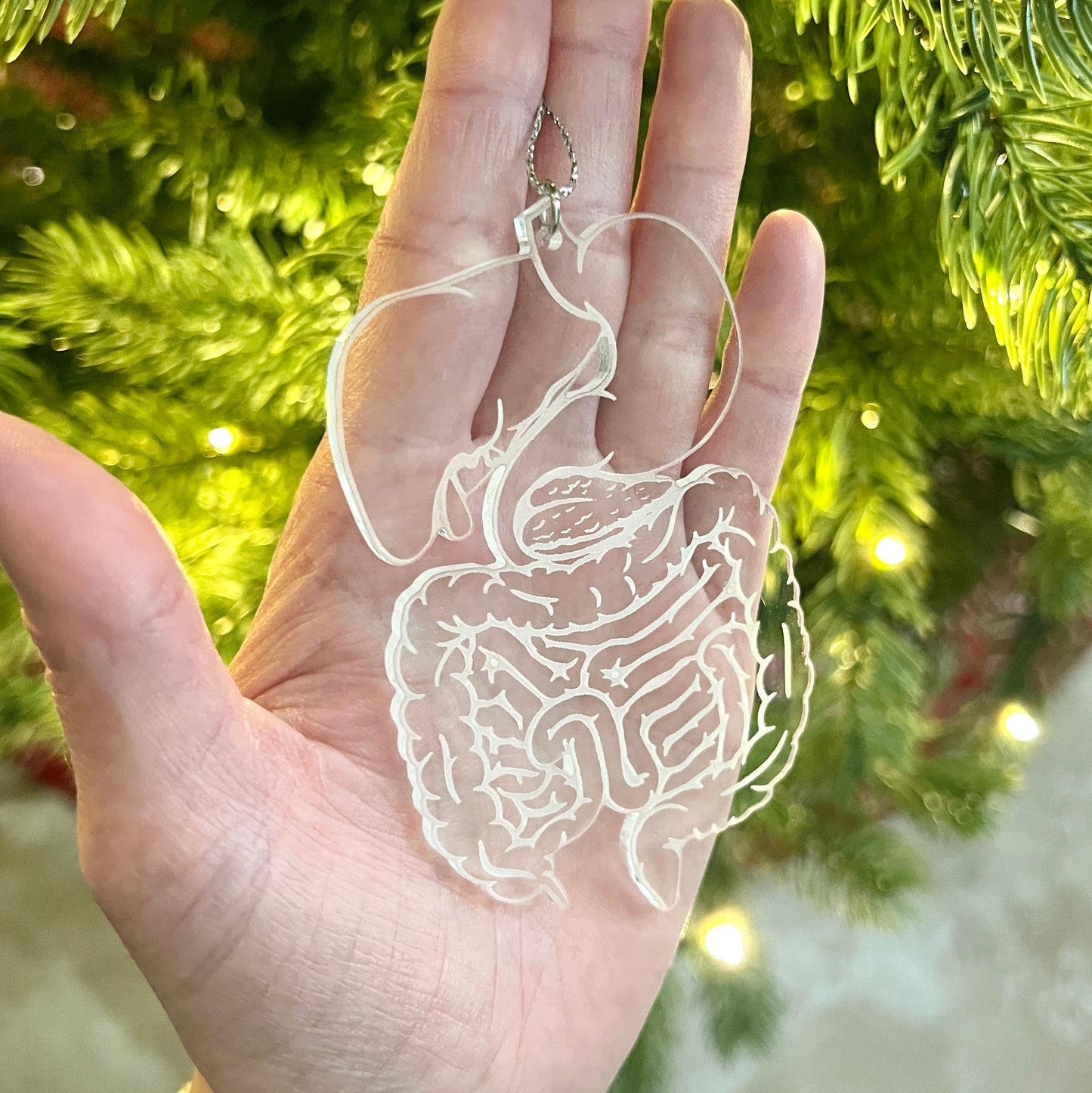 Clear or Frosted Acrylic Digestive System Ornament