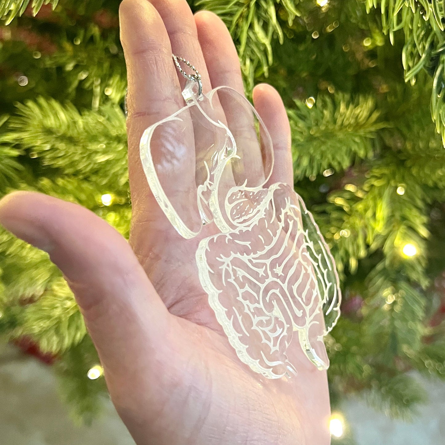Clear or Frosted Acrylic Digestive System Ornament