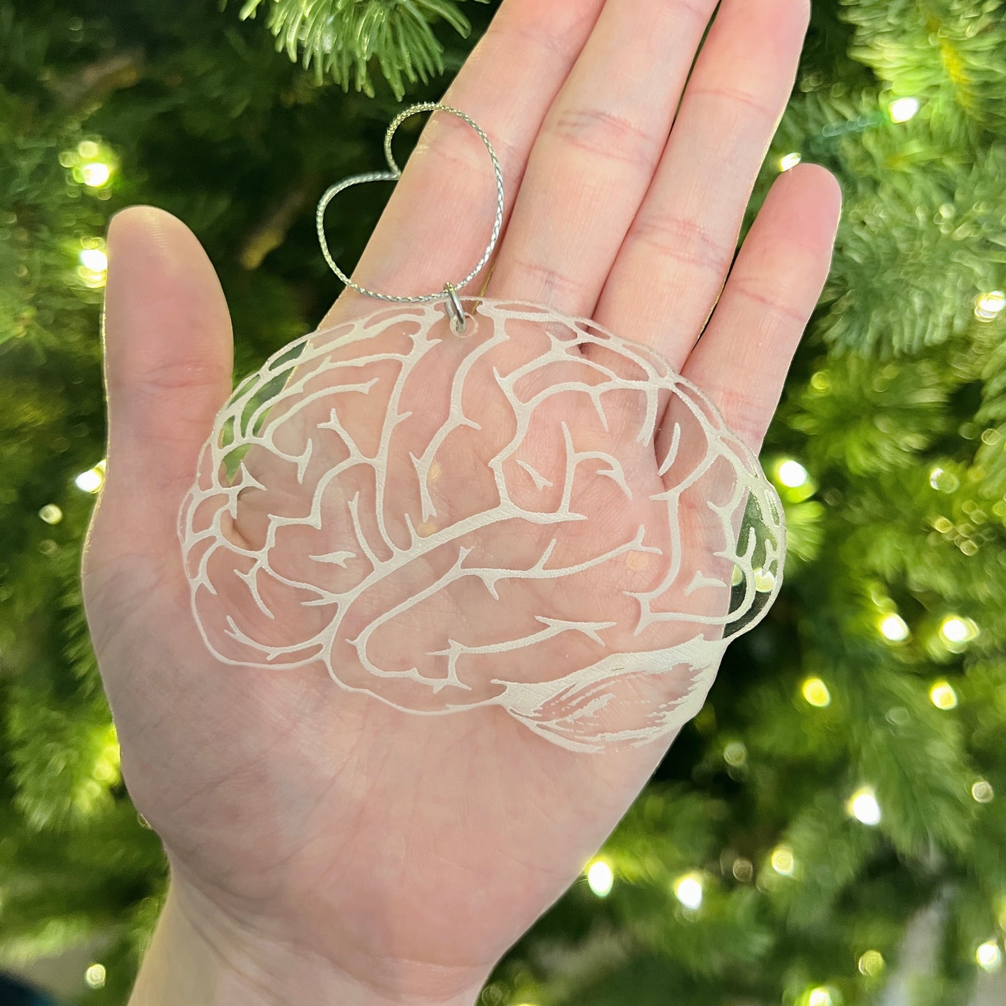 Clear or Frosted Acrylic Brain Ornament