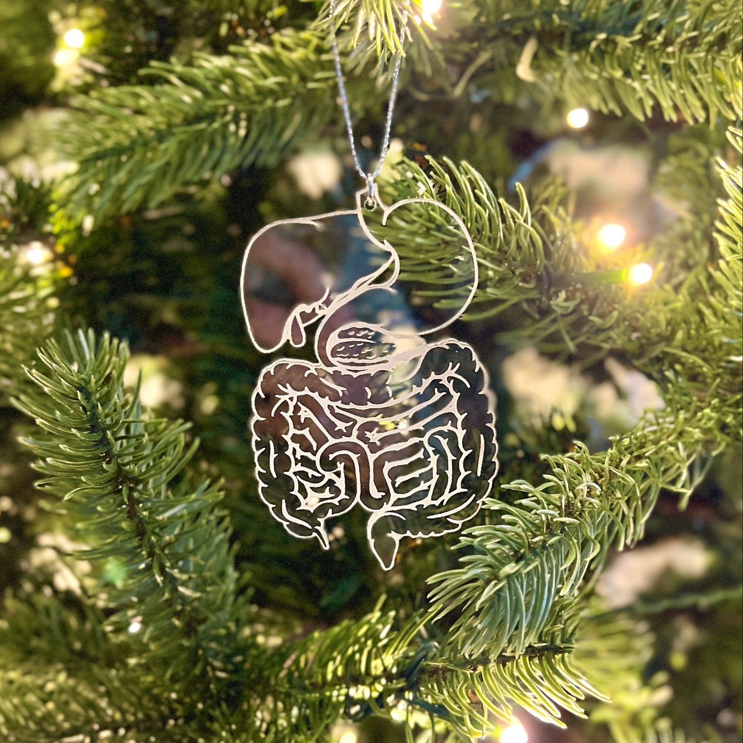 Clear or Frosted Acrylic Digestive System Ornament