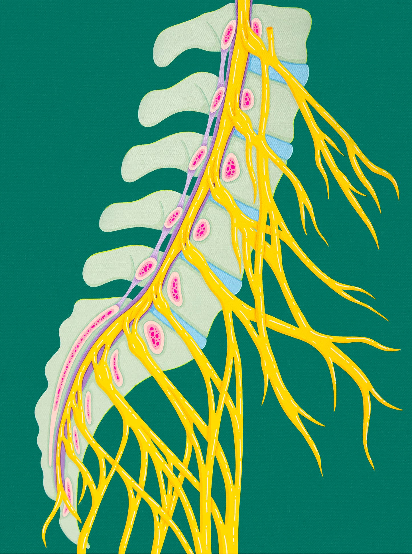“Spinal Nerves" Print