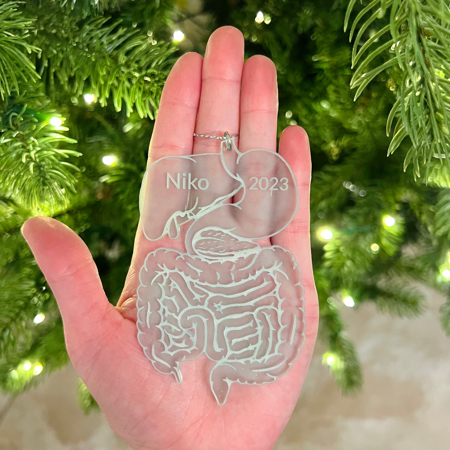 Frosted Acrylic Digestive System Ornament