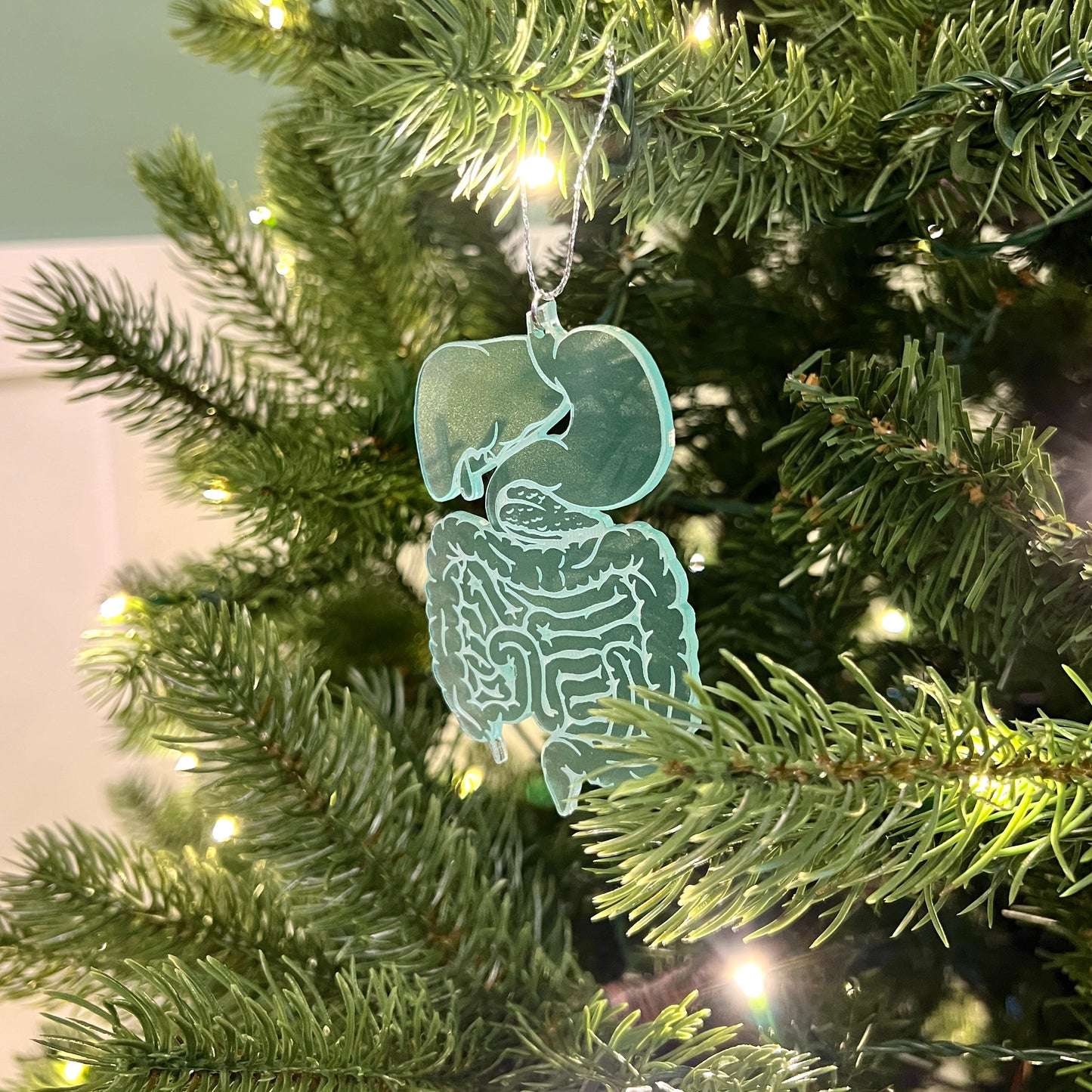 Clear or Frosted Acrylic Digestive System Ornament