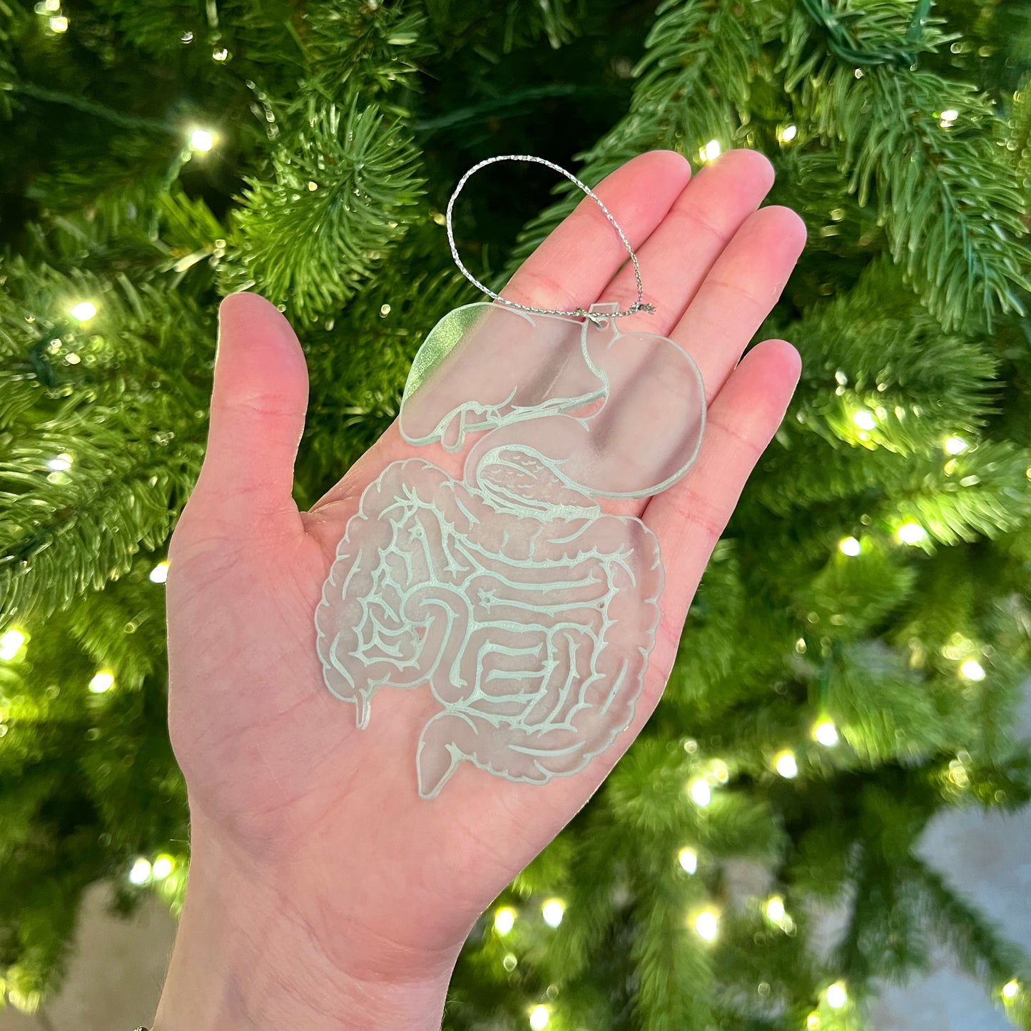 Clear or Frosted Acrylic Digestive System Ornament