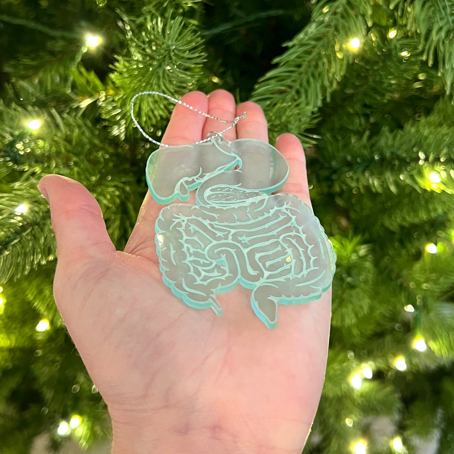 Clear or Frosted Acrylic Digestive System Ornament