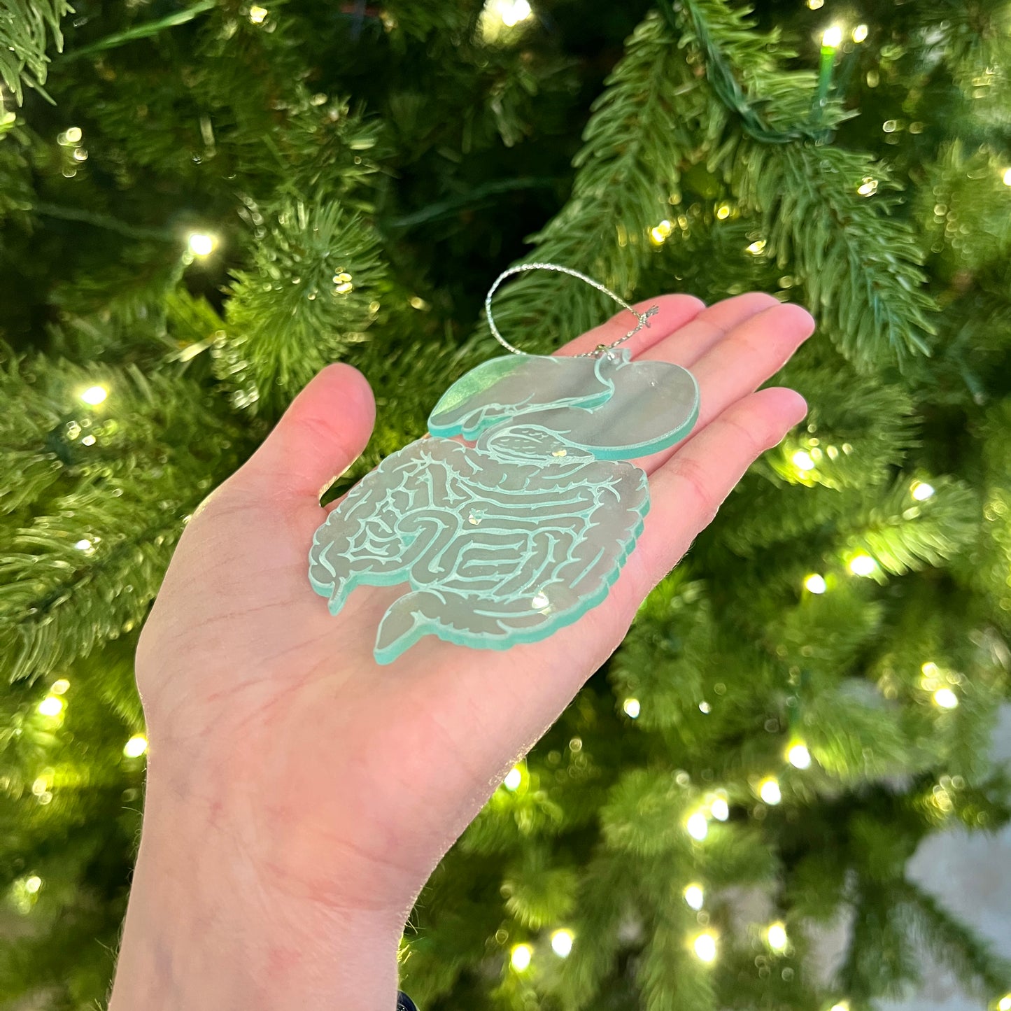 Clear or Frosted Acrylic Digestive System Ornament