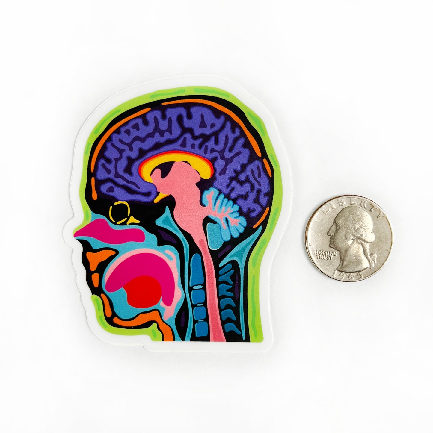 "Sagittal" Head MRI Sticker