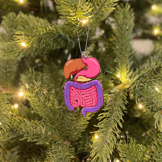 Painted Digestive System Ornament