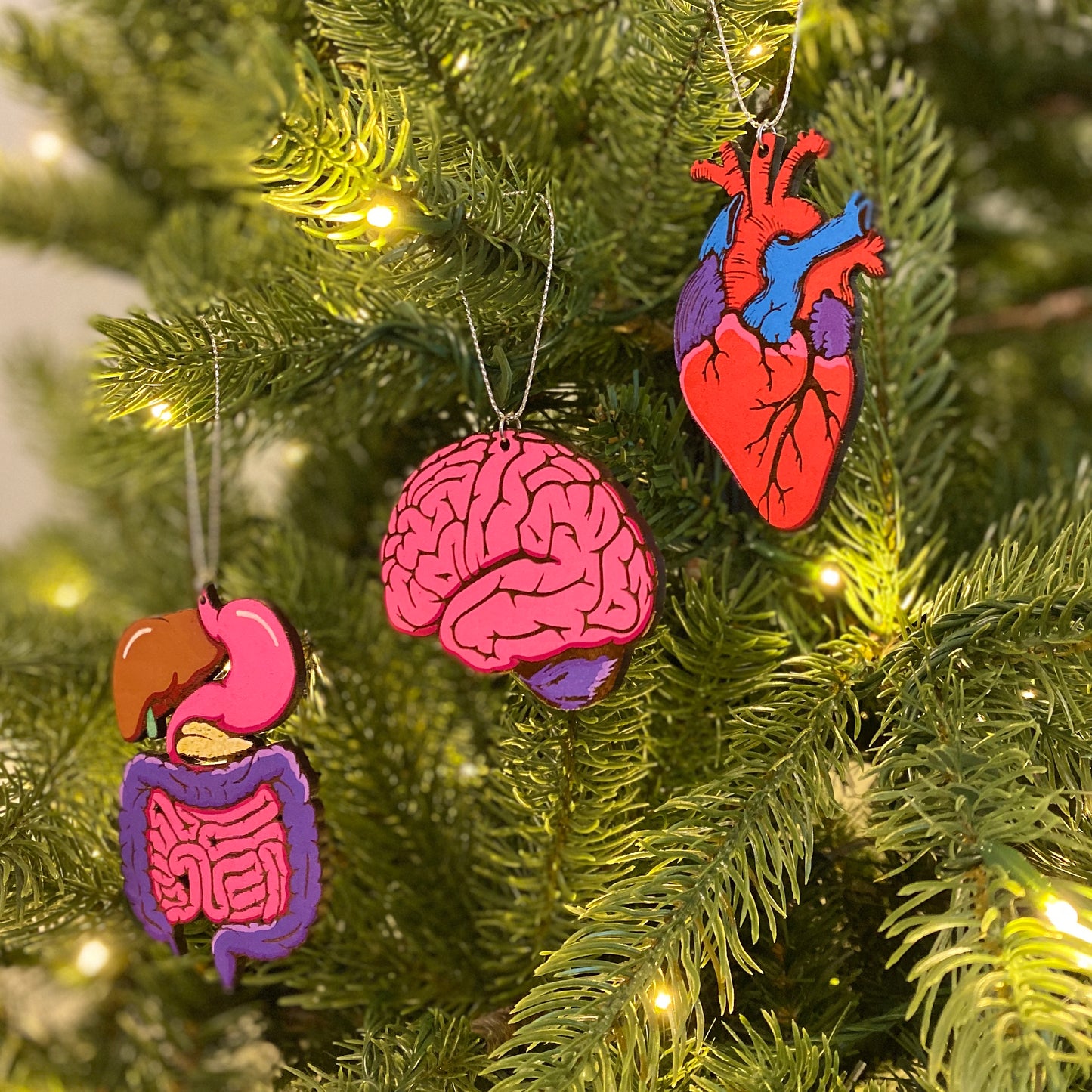Painted Anatomical Heart Ornament